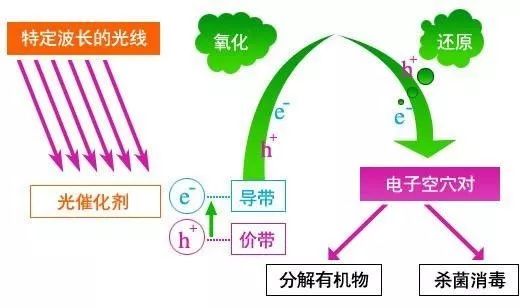 微信圖片_20190418141914